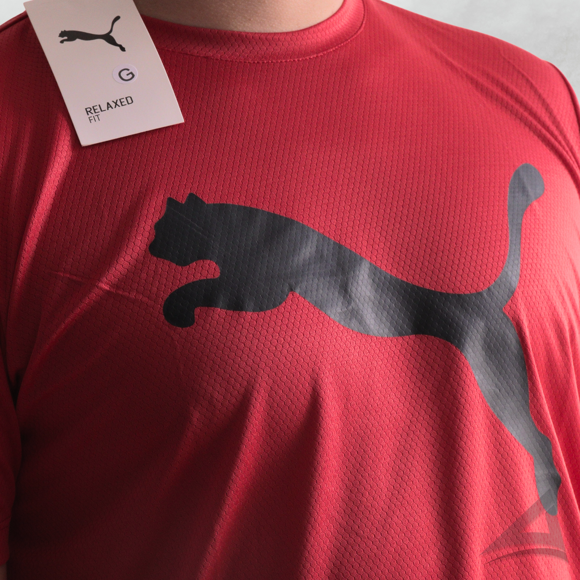 Camiseta Dri-fit Unidade - Puma