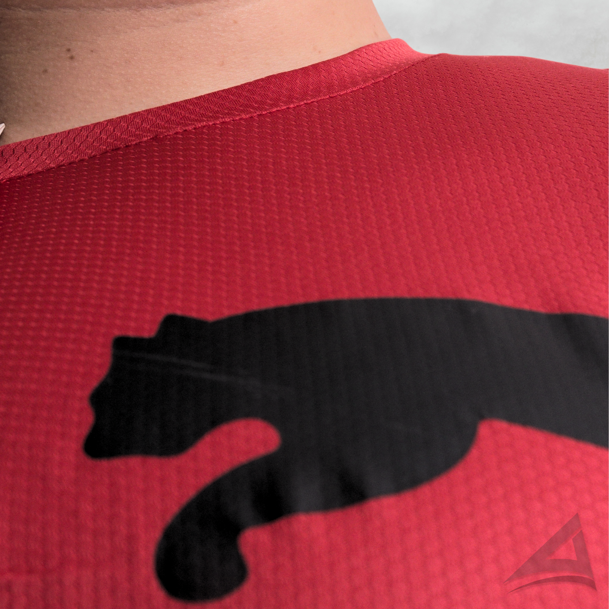 Camiseta Dri-fit Unidade - Puma