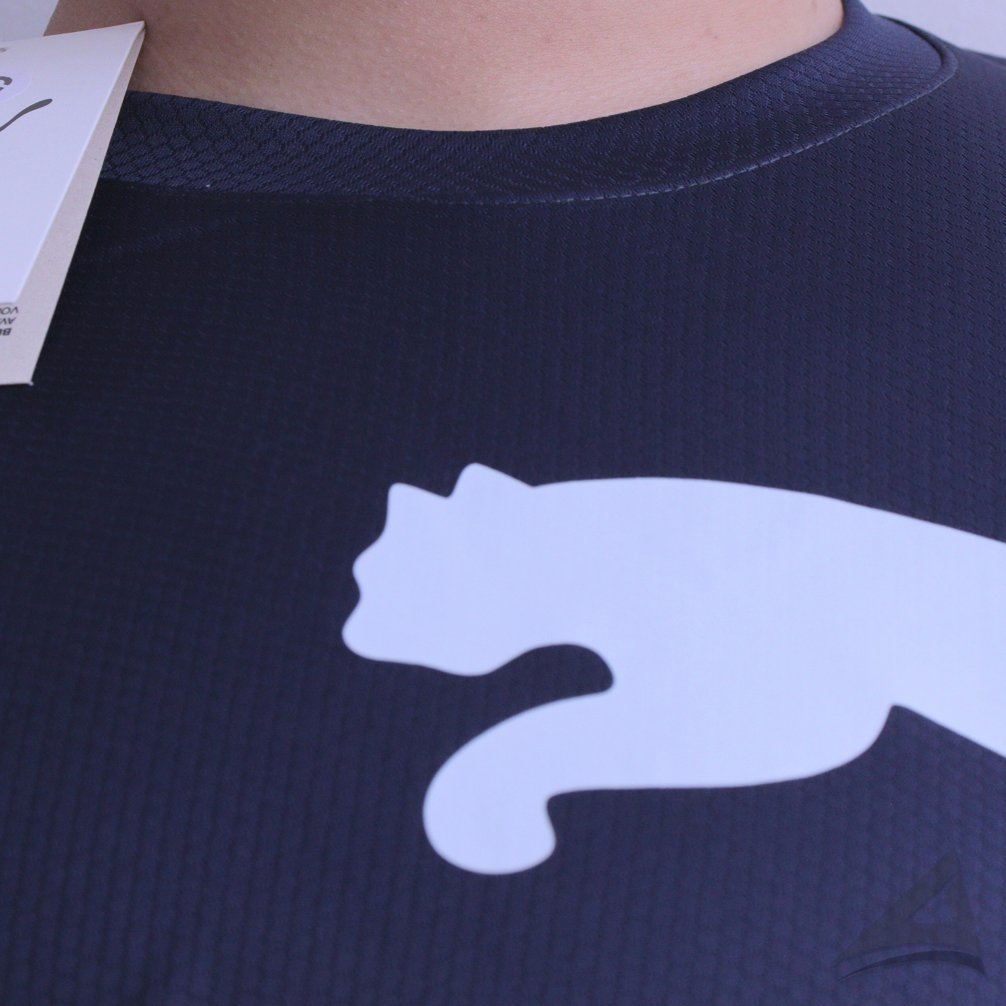 Camiseta Dri-fit Unidade - Puma