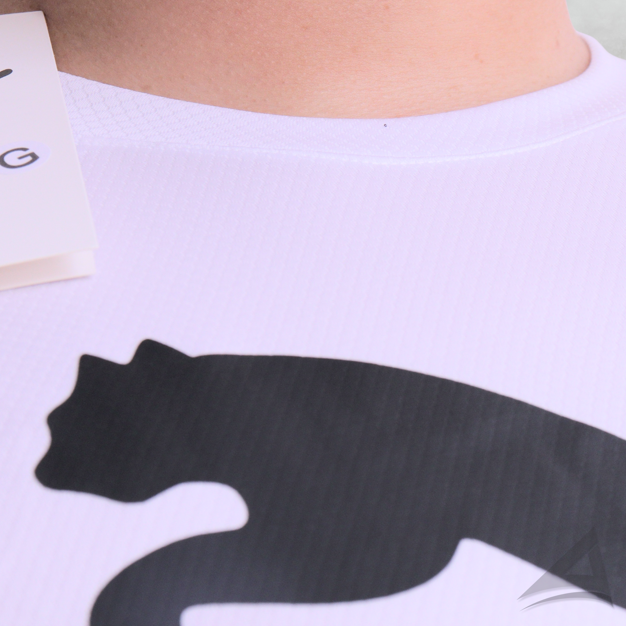 Camiseta Dri-fit Unidade - Puma